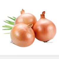 ONIONS - White