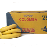RIPPED PLANTAIN